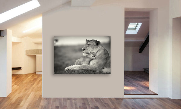 Lion And Cub Cuddling - Canvas Wall Art Framed Print - Various sizes