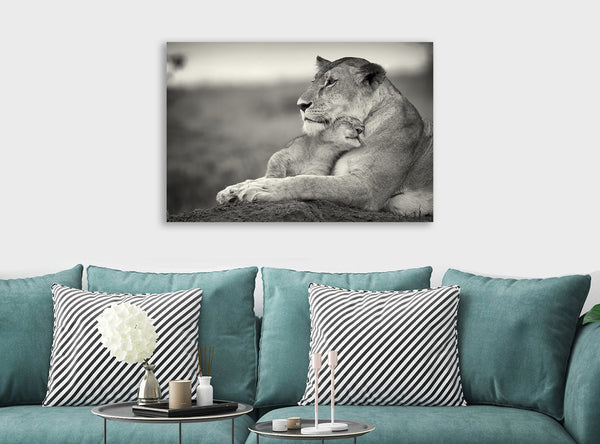 Lion And Cub Cuddling - Canvas Wall Art Framed Print - Various sizes