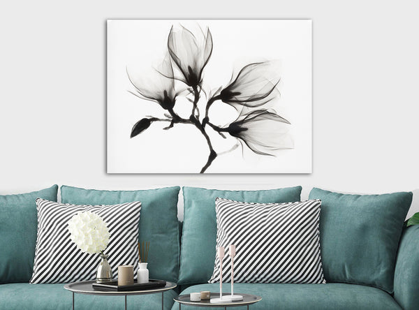 Magnolia Plant With Four Flowers - Canvas Wall Art Framed Print - Various Sizes
