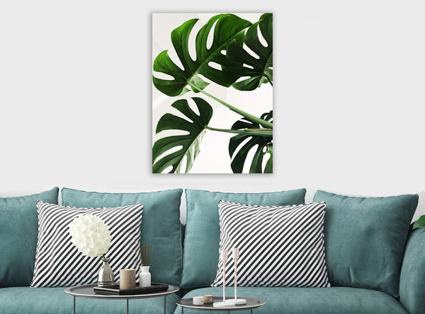 Swiss Cheese - Monstera Leaves - Canvas Wall Art Framed Print - Various Sizes