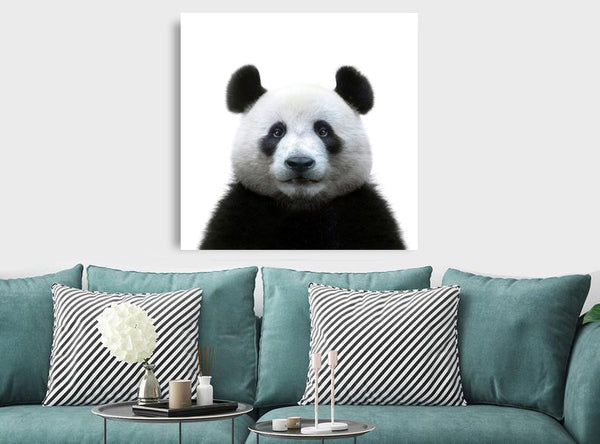 Panda Face - Canvas Wall Art Framed Print - Various Sizes