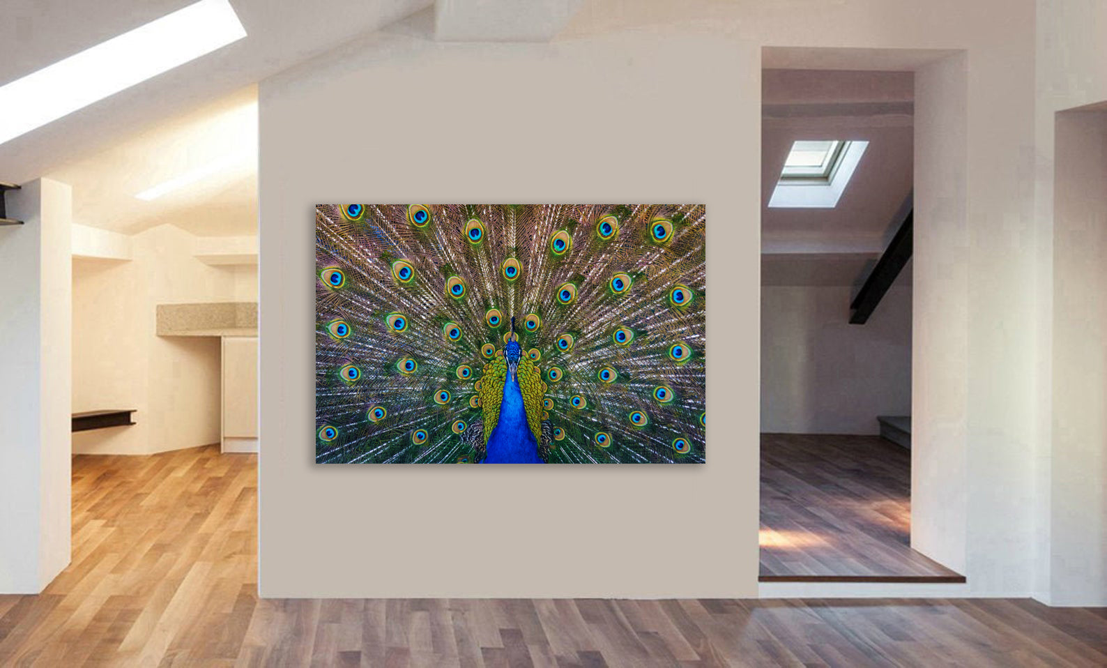 Peacock Bird - Canvas Wall Art Framed Print - Various Sizes