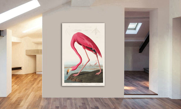 Pink Flamingo Vintage - Canvas Wall Art Framed Print - Various Sizes