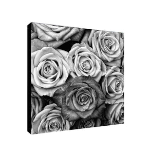 Black And White Roses - Framed Canvas Wall Art Print - Various Sizes