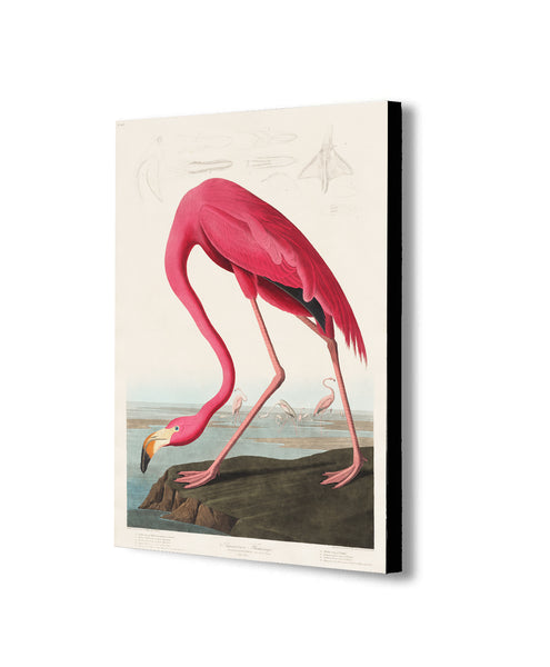 Pink Flamingo Vintage - Canvas Wall Art Framed Print - Various Sizes