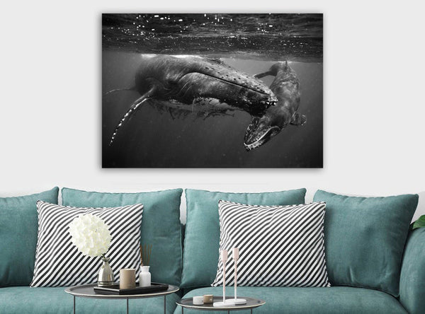 Humpback Whales - Canvas Wall Art Framed Print - Various Sizes