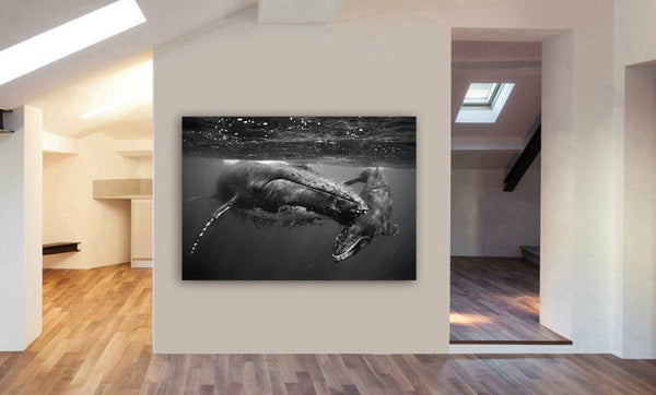 Humpback Whales - Canvas Wall Art Framed Print - Various Sizes